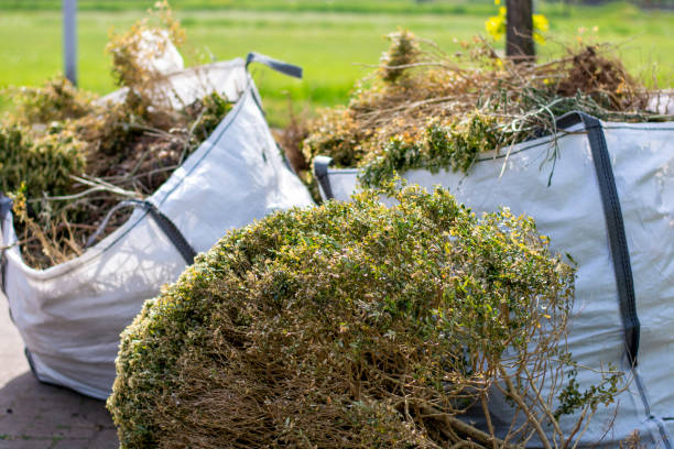 Best Dumpster Rental Services  in Cedar City, UT