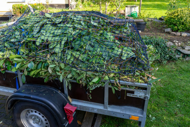 Best Same-Day Junk Removal Services  in Cedar City, UT